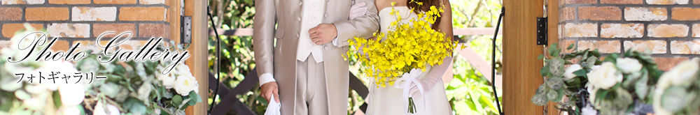フォトギャラリー