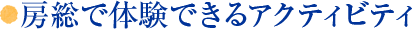 房総で体験できるアクティビティ