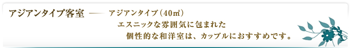 アジアンタイプ客室