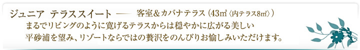 ジュニア テラススイート