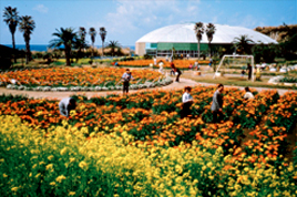 白浜フラワーパーク