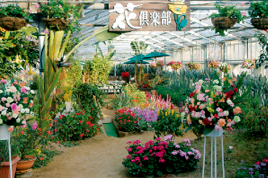 道の駅「おおつの里」