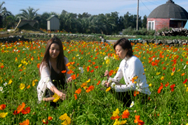 館山ファミリーパーク
