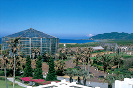 千葉県南房パラダイス