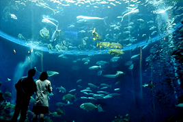 鴨川シーワールド